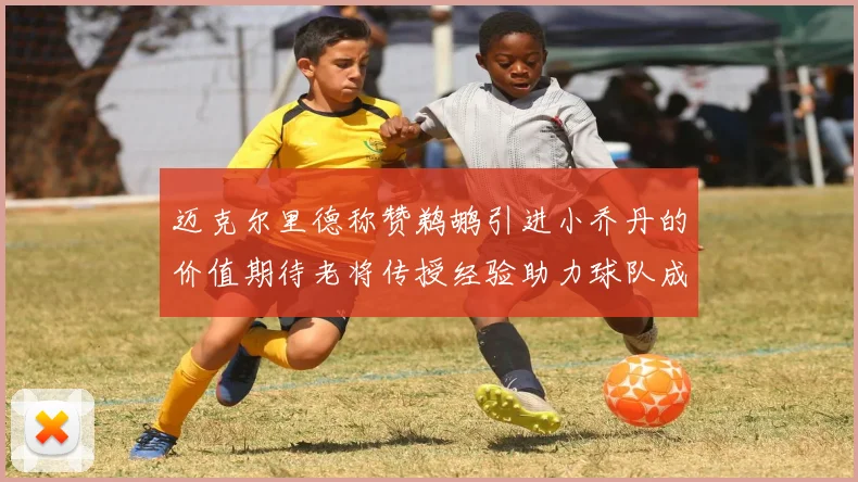 迈克尔里德称赞鹈鹕引进小乔丹的价值期待老将传授经验助力球队成长